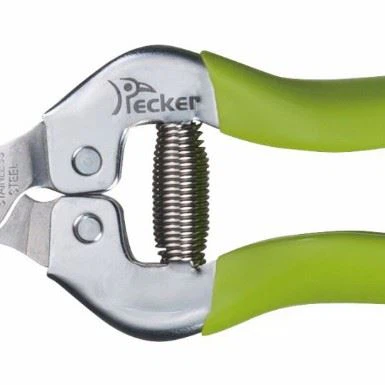 Screenshot 2024-10-28 095915